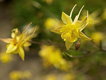 《恐鬼症》主机版首月销量破百万 总销量近2200万